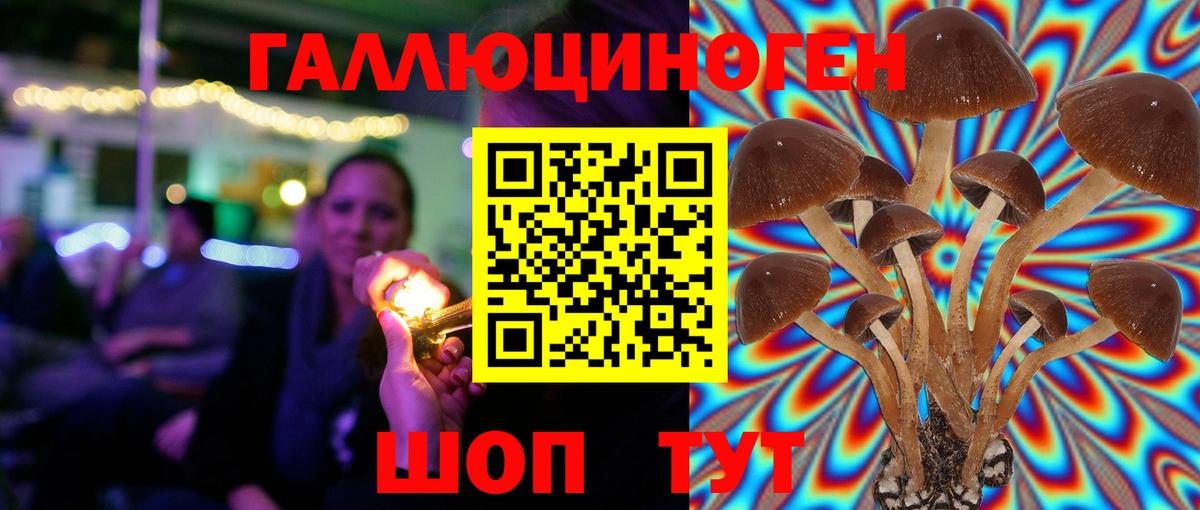 Псилоцибиновые грибы MAGIC MUSHROOMS Полысаево